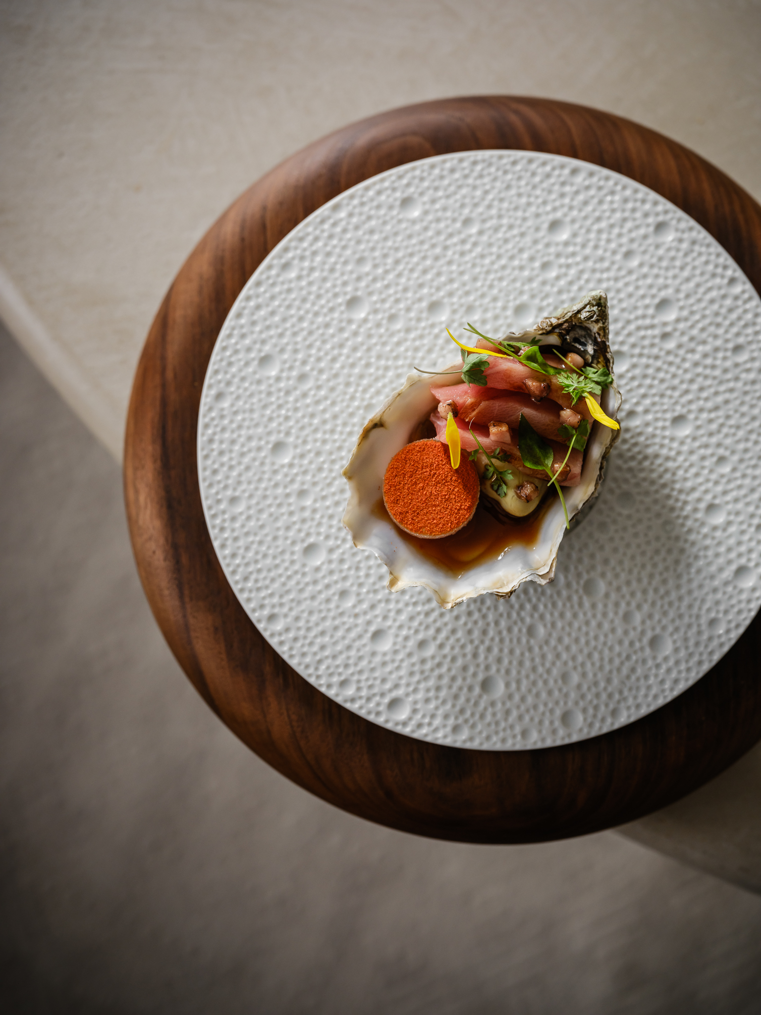 alma – jan 2024 – 291